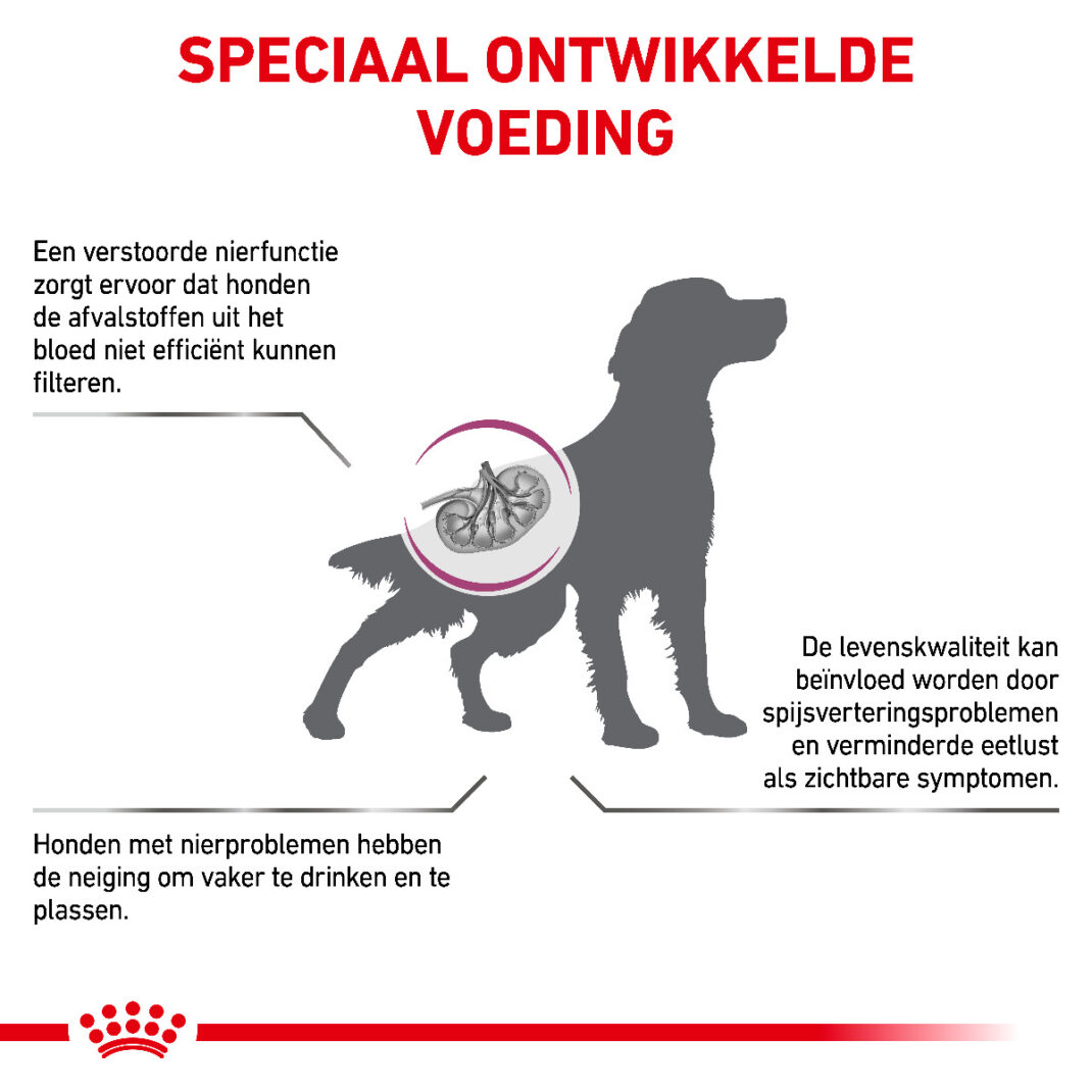 Royal Canin Dog Renal 2 kg-338996