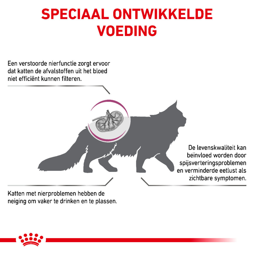 Royal Canin Cat Renal Special - 2 kg-338583