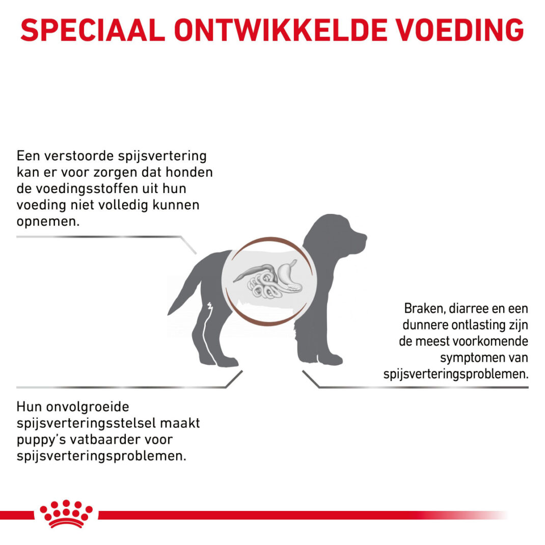 Royal Canin Dog Gastrointestinal Puppy 2,5 kg-338371