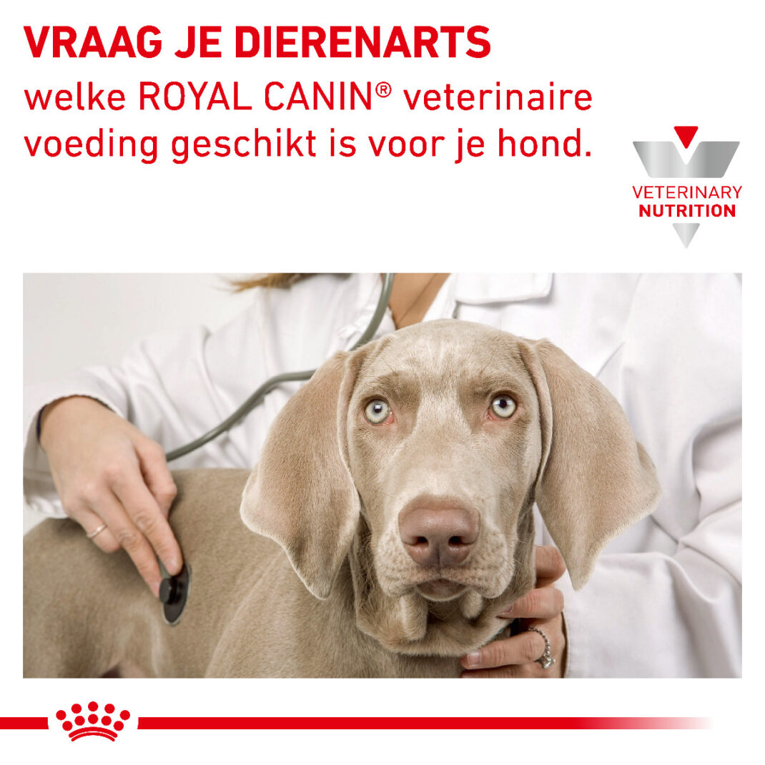 Royal Canin Dog Sensitivity Control 1 tray 12 blikken - 420 gram Eend met rijst-339066