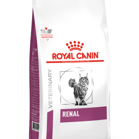 Royal Canin Cat Renal - 4 kg