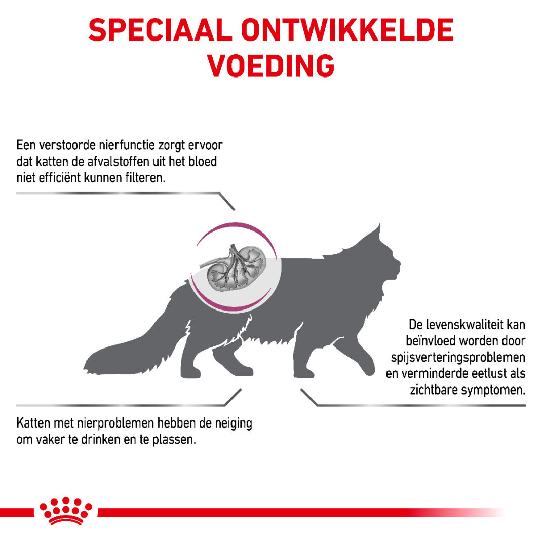 Royal Canin Cat Renal - 4 kg-338513