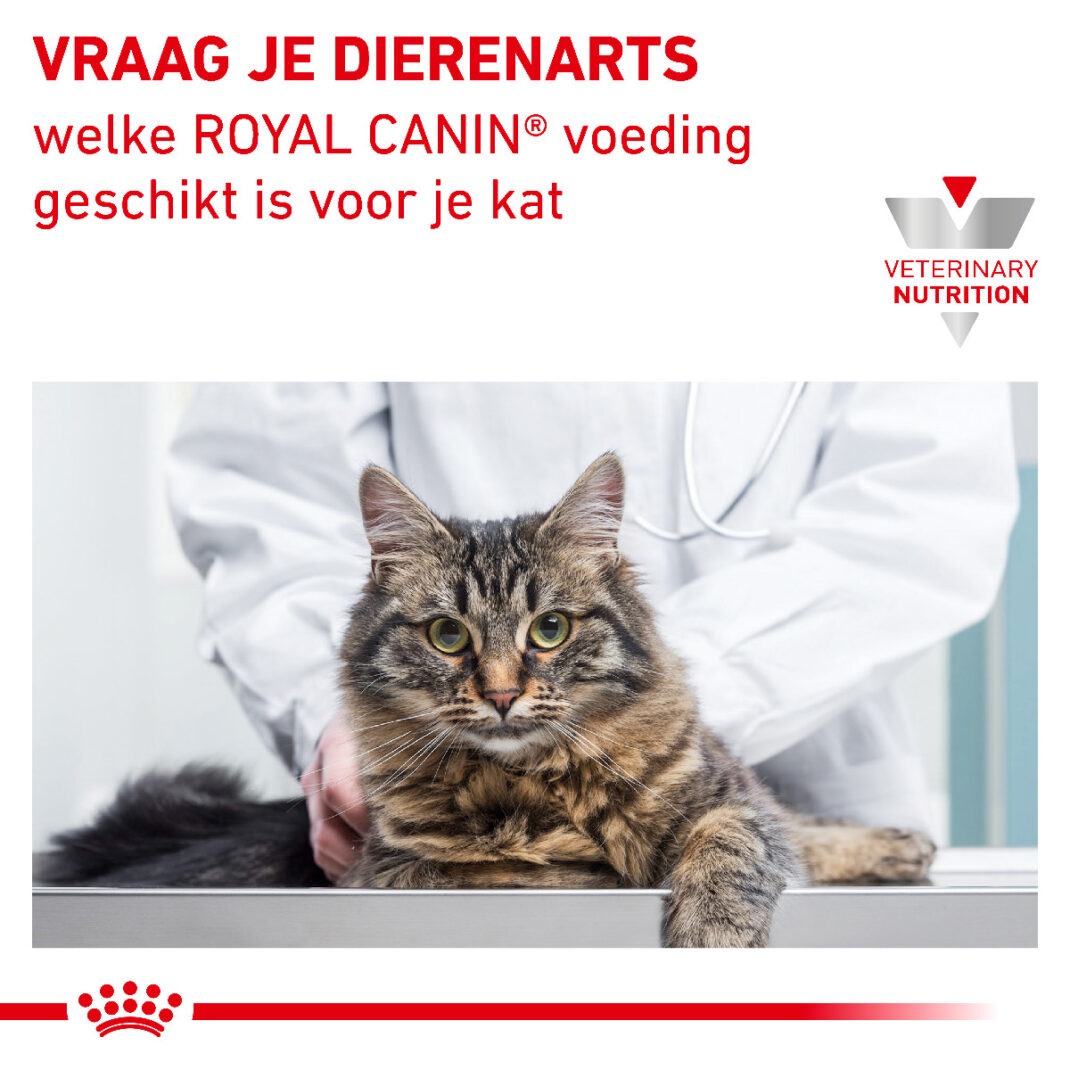 Royal Canin Cat Diabetic - 3,5 kg-338462