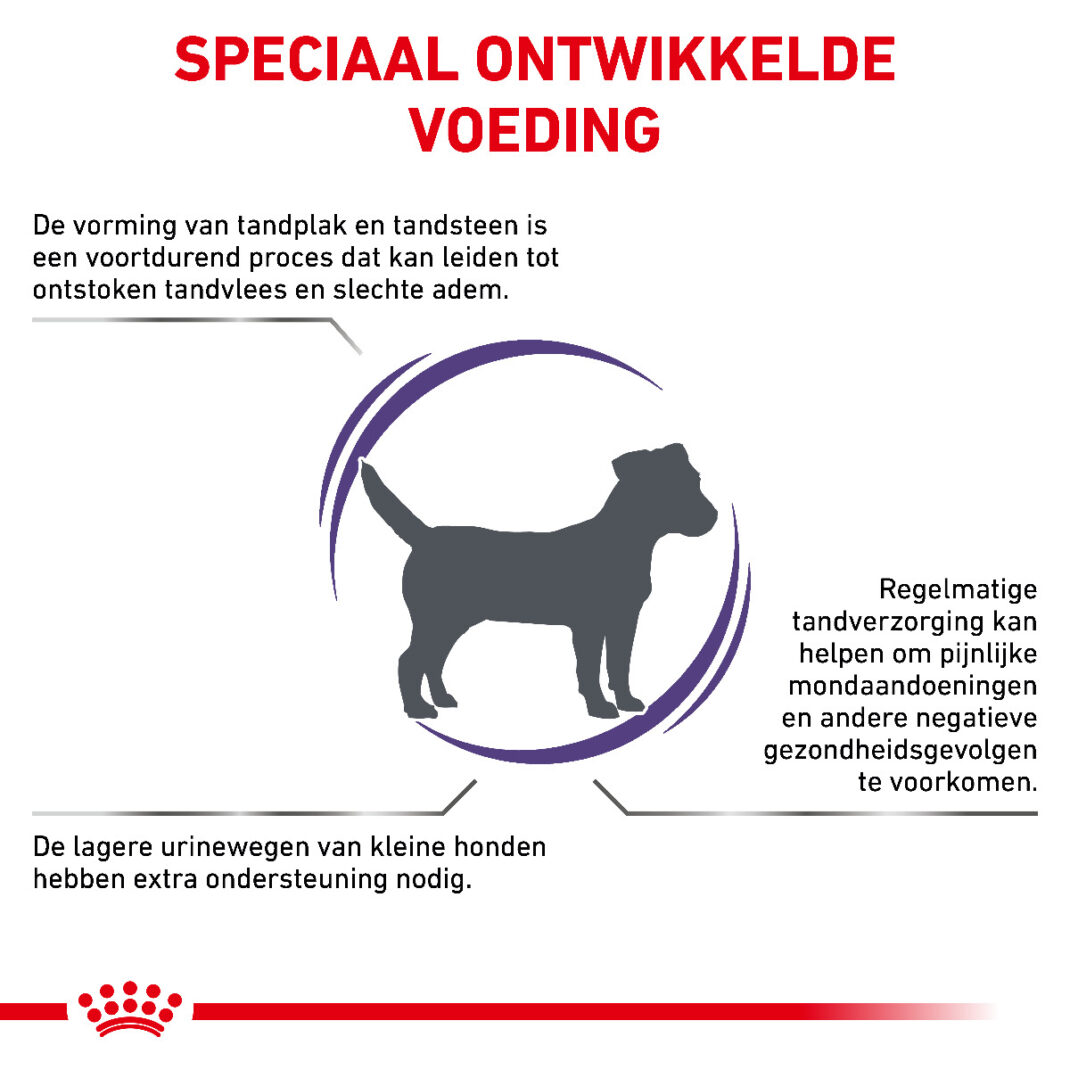 Royal Canin Dog Dental Small dogs - 3,5 kg-338715