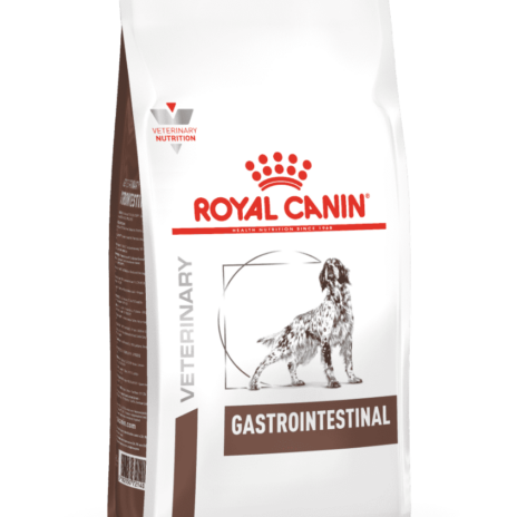 Royal Canin Hond Gastrointestinal - 15 kg