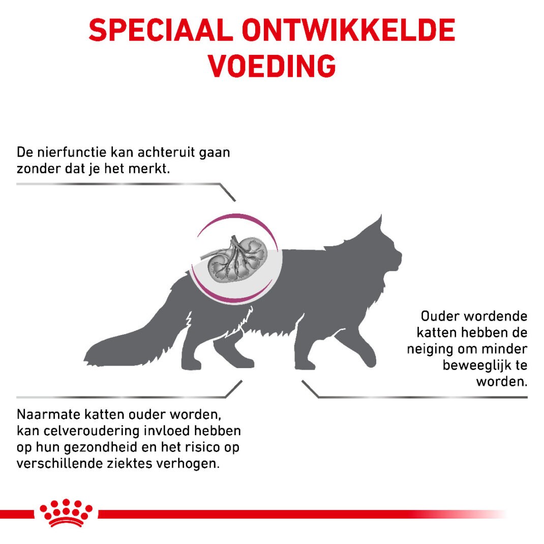 Royal Canin Cat Early Renal - 3,5 kg-338411