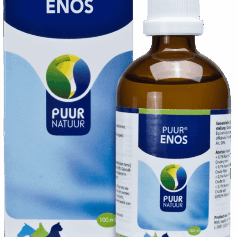 Puur Enos - H/K/P/P