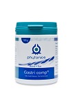 Phytonics Gastri Comp H/K - 100 gram