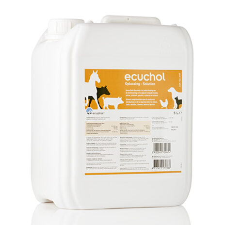 Ecuchol 5000 ml