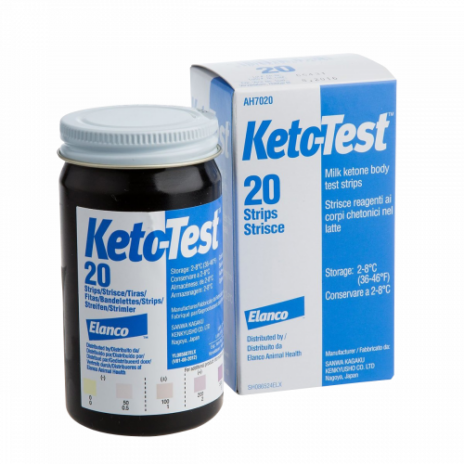 Keto Test