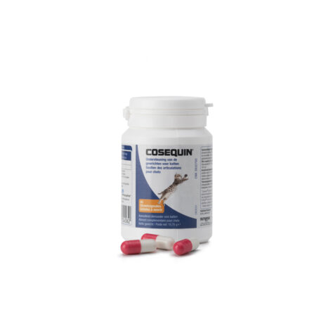 Cosequin Kat 50 capsules