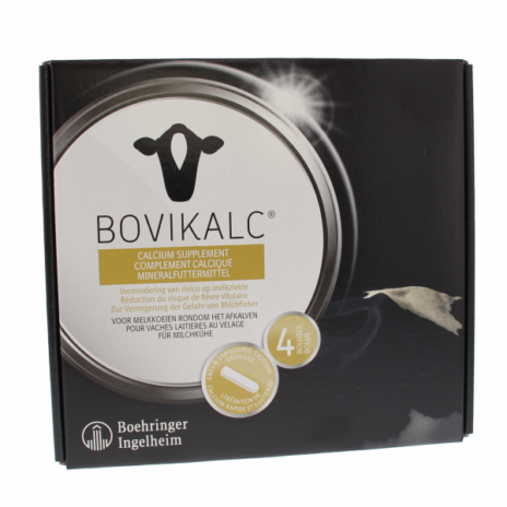 Bovikalc bolus doos 6 x 4 boli