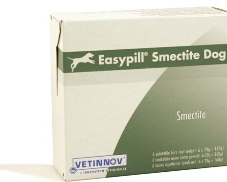 Easypill Smectite Hond 6 x 28 gram