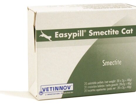 Easypill Smectite kat 20 x 2 gram