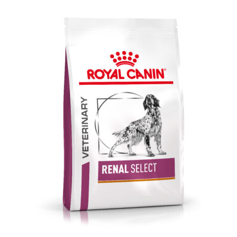 Royal Canin Dog Renal Select  - 2 kg