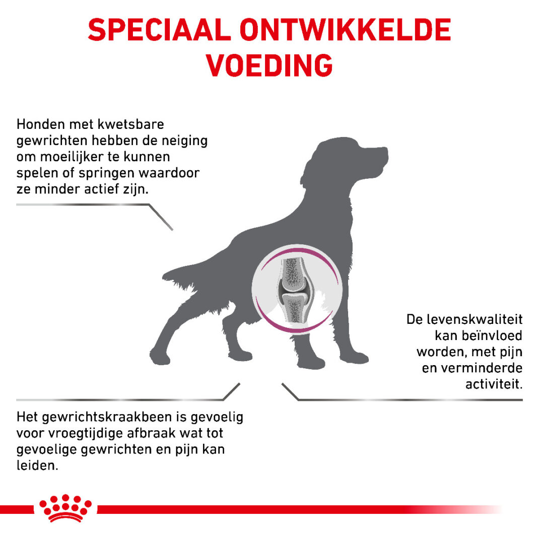 Royal Canin Dog Mobility Support - 7 kg-338980