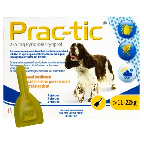 Prac-tic pipetten