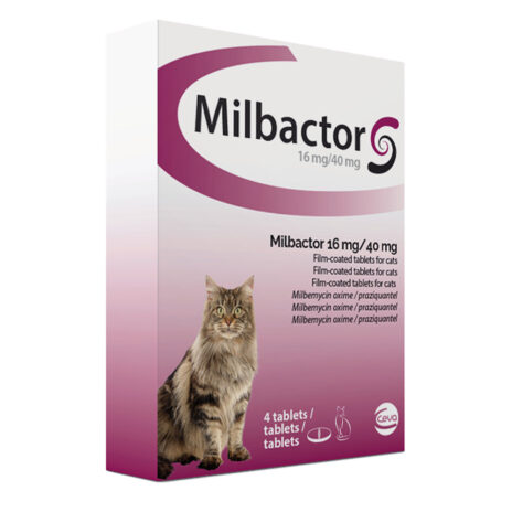 Milbactor Grote Kat - 4 tabletten