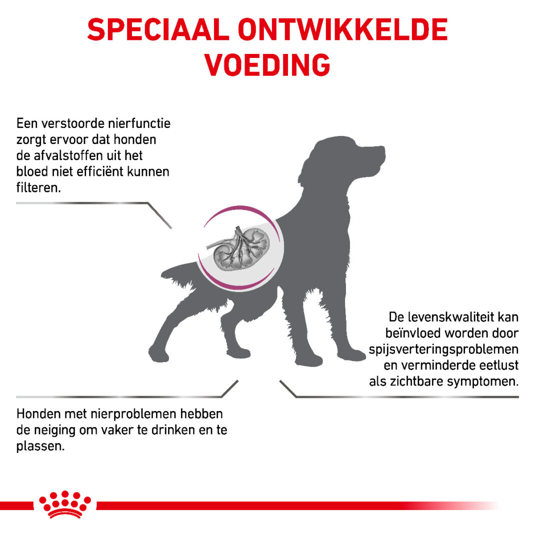 Royal Canin Dog Renal Special - 2 kg-339051