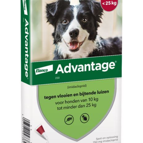 Advantage 250 Hond 10-25 kg