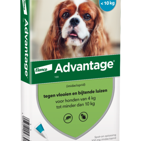 Advantage 100 Hond 4-10 kg