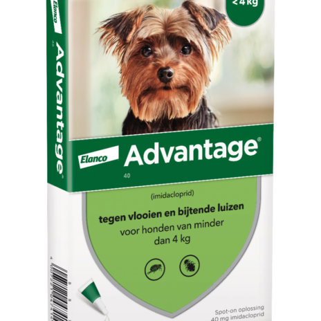 Advantage 40 Hond < 4 kg