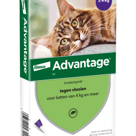 Advantage 80 Kat ></noscript> 4 kg