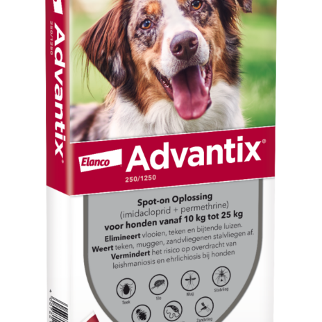 Advantix Spot-on hond 250/1250