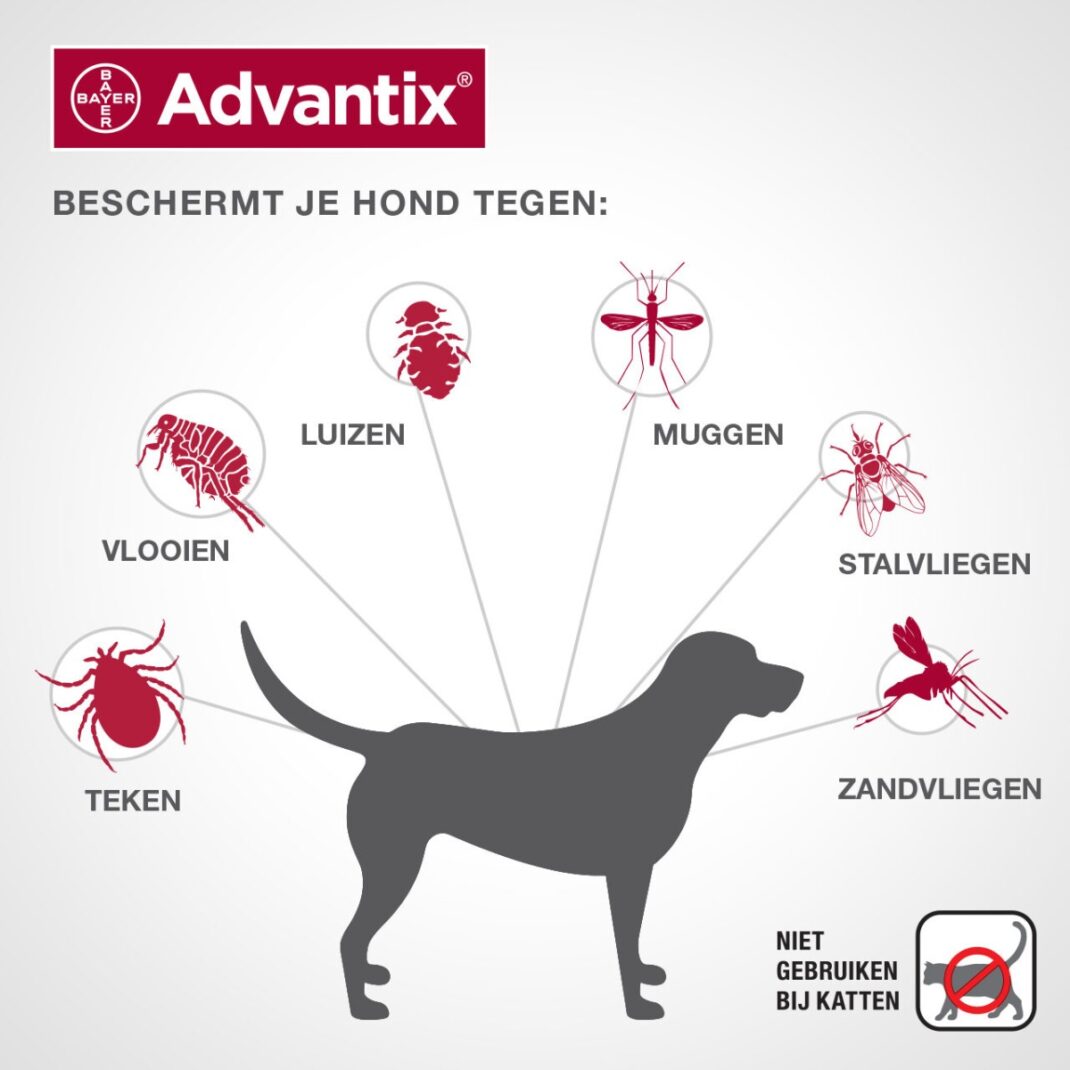 Advantix hond 40/200-331447