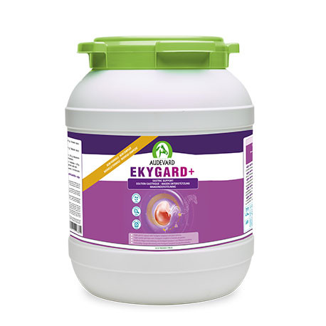 Ekygard Audevard 14 kg