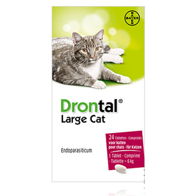 Drontal Large Cat