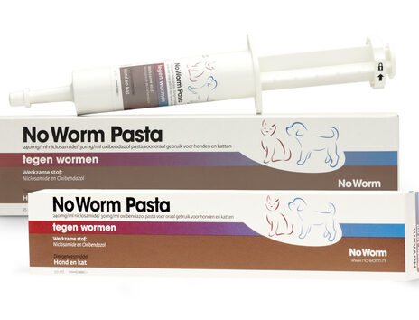 No Worm Pasta - 25 ml