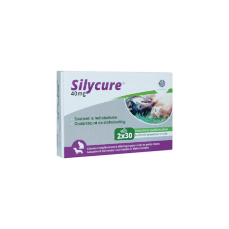 Silycure 40 mg - 60 tabletten