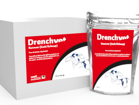 DrenchVet Recover schaap/geit - 10 stuks