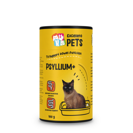 Psyllium Plus Kat - 100 gram