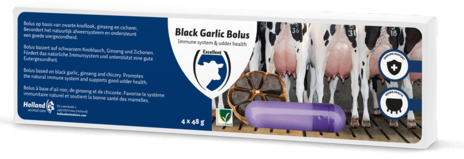 Black Garlic Bolus Rund 4 stuks