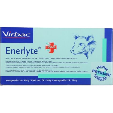 Enerlyte Plus 24 sachets 100 gram