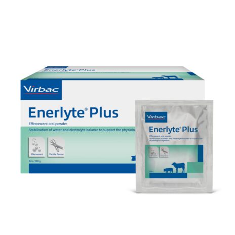 Enerlyte Plus - 24 x 100 gram