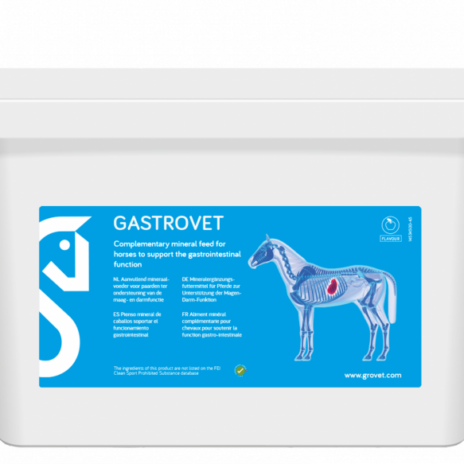 Grovet Gastrovet - 4500 gram