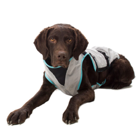 Suitical DRY Cooling Vest hond - XSmall