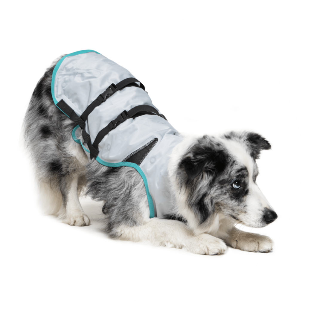 Suitical DRY Cooling Vest hond - XSmall-332312