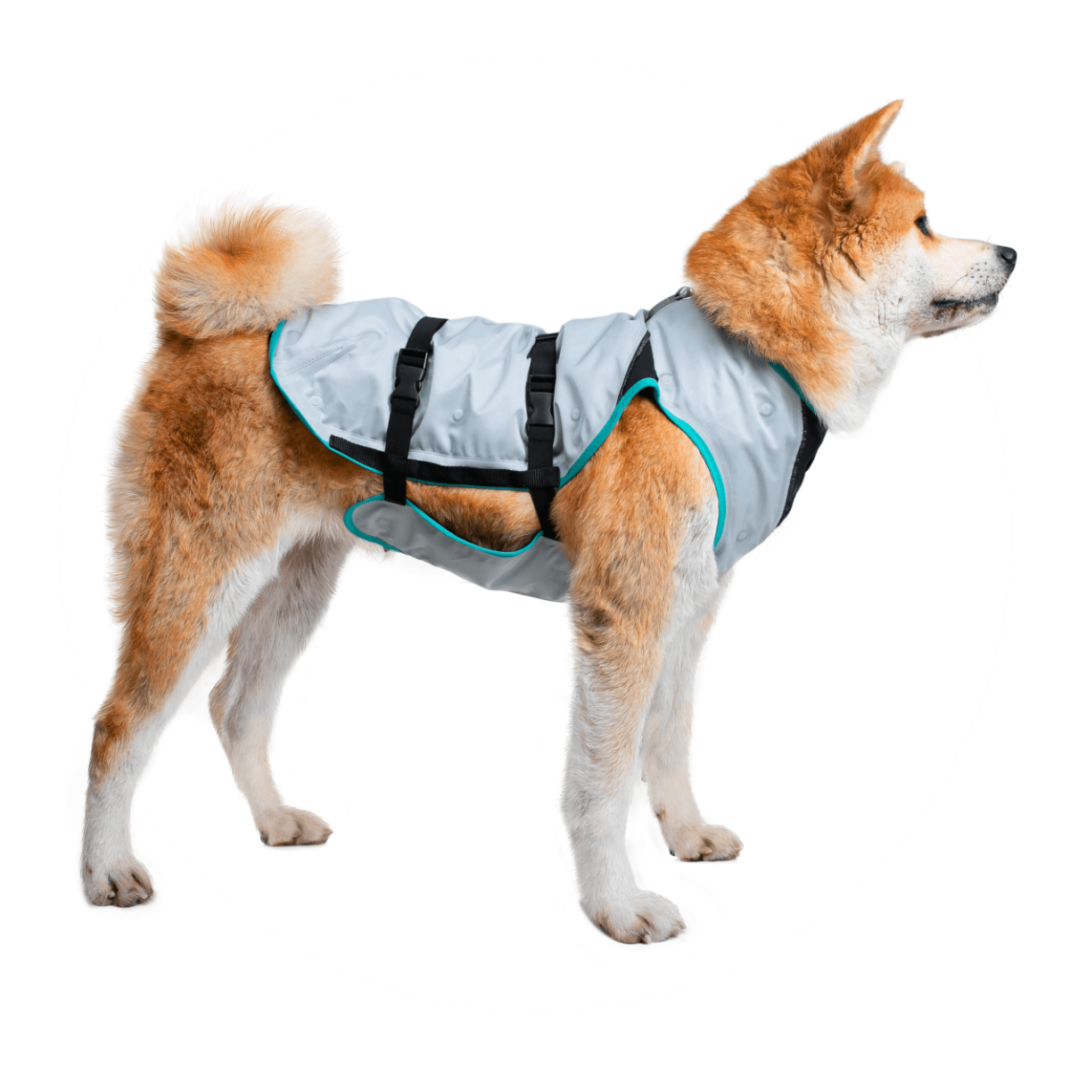 Suitical DRY Cooling Vest hond - XSmall-332313