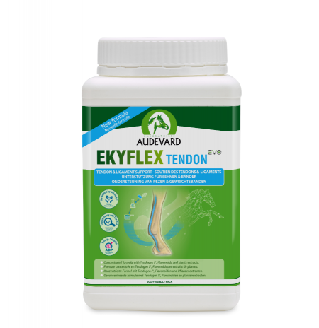 Ekyflex Tendon EVO - 900 gram