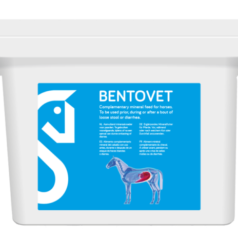 Bentovet - 10 kg