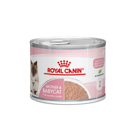 Royal Canin Mother & Babycat Mousse - 12 x 195 gram