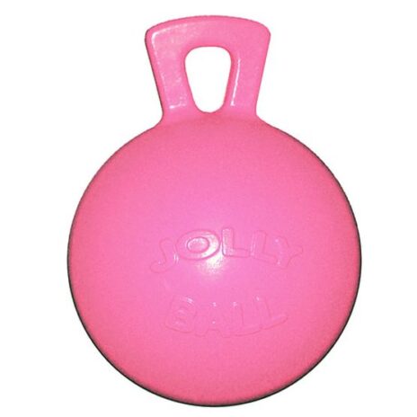 Jolly Ball ROZE met bubblegumgeur