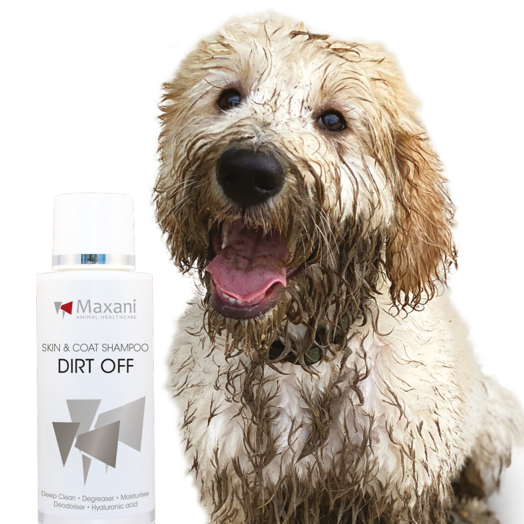 Maxani Dirt Off Skin & Coat Shampoo 200 ml-334235