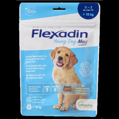 Flexadin Young Dog Maxi (vanaf 10 kg) - 60 chews