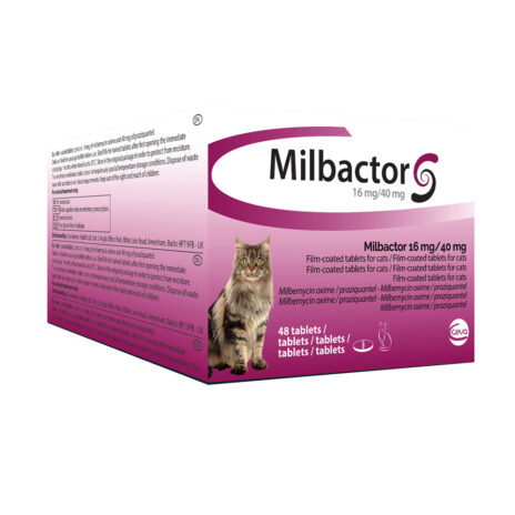 Milbactor Grote Kat - 48 tabletten