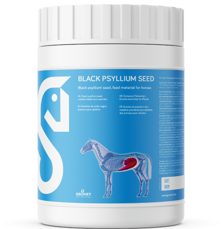 Grovet Psyllium - 1 kg